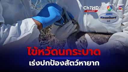 เอกวาดอร์ เร่งเพิ่มมาตรการปกป้องสัตว์หายากจากหมู่เกาะกาลาปากอส หลังเกิดไข้หวัดนกระบาด 