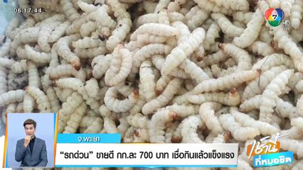 รถด่วน ขายดี กก.ละ 700 บาท เชื่อกินแล้วแข็งแรง