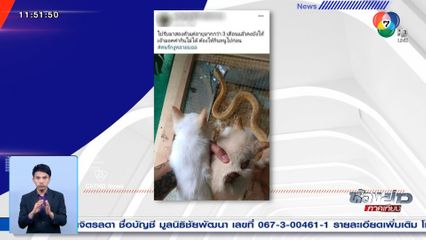 โซเชียลรุมประณาม ขอลูกแมวให้งูเขมือบ