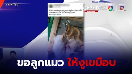 โซเชียลรุมประณาม ขอลูกแมวให้งูเขมือบ