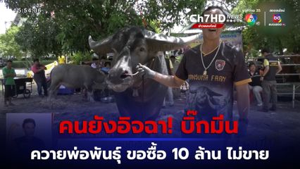 คนยังอิจฉา! บิ๊กมีน ควายพ่อพันธุ์ ขอซื้อ 10 ล้านบาท เจ้าของก็ไม่ขาย