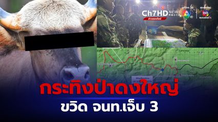 กระทิงขวิด จนท.ป่าดงใหญ่ เจ็บ 1 สาหัส 2 คน เร่งลำเลียงขึ้น ฮ.ส่งโรงพยาบาล