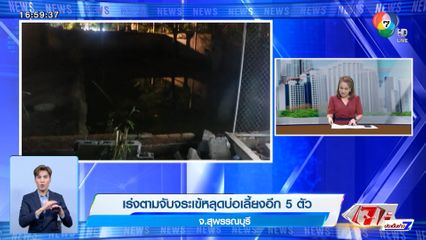 เร่งตามจับจระเข้หลุดบ่อเลี้ยงอีก 5 ตัว จ.สุพรรณบุรี