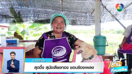 สุดอึ้ง สุนัขเสียงทอง ชอบร้องเพลง จ.อ่างทอง