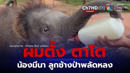 "หมอล็อต" อัปเดตการดูแล "น้องมีนา" ขนเริ่มหนาและยาว ส่งสัญญาณเข้าสู่ฤดูหนาว