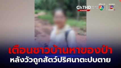 เจ้าหน้าที่อุทยานแห่งชาติทับลาน เตือนชาวบ้านหาของป่า หลังวัวถูกสัตว์ปริศนาตะปบตาย จ.นครราชสีมา