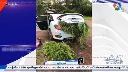 ของมันต้องใช้