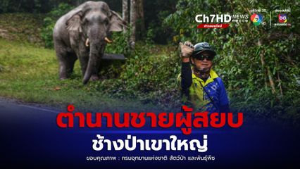 อุทยานแห่งชาติเขาใหญ่ จ้าง พ่อสุทธิ ต่อหลังเกษียณ