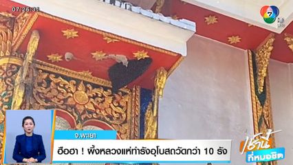 ฮือฮา! ผึ้งหลวงแห่ทำรังอุโบสถวัดกว่า 10 รัง