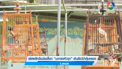 เร่งผลักดันปลดล็อก นกกรงหัวจุก พ้นสัตว์ป่าคุ้มครอง จ.สงขลา