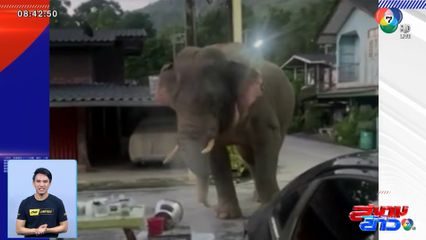 กรี๊ดทั้งร้าน พี่ด้วน วนาลี เหมาโจ๊กทั้งหม้อ จ.นครราชสีมา