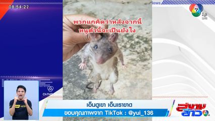 ภาพเป็นข่าว : เอ็นดูเขา เอ็นเราขาด