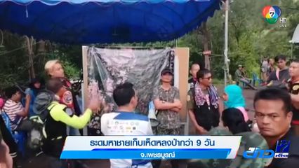 ระดมหาชายเก็บเห็ดหลงป่ากว่า 9 วัน จ.เพชรบูรณ์