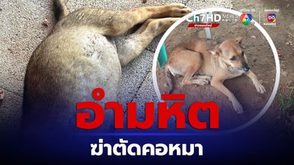 คนใจเหี้ยม ฆ่าตัดคอหมา