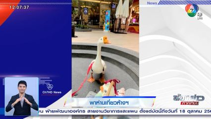 พาห่านเที่ยวห้างฯ