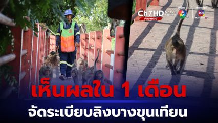 กทม. เร่งจัดระเบียบลิงบางขุนเทียน หวังเห็นผลใน 1 เดือน