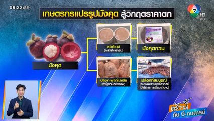 เช้านี้กับ บี กมลาสน์ : เกษตรกรแปรรูปมังคุด สู้วิกฤตราคาตก จ.ตรัง