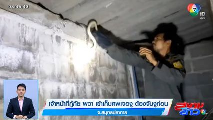 เจ้าหน้าที่กู้ภัย ผวา เข้าเก็บศพเจองู ต้องจับงูก่อน จ.สมุทรปราการ