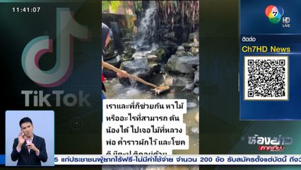 ช่วยเต่าหงายท้อง