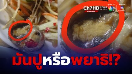 สาวสั่งส้มตำปูปลาร้ามา แต่สิ่งที่อยู่ในปูมันคืออะไร ลักษณะคล้าย มันปูหรือพยาธิ