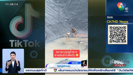 เมื่อสุนัขตกลงไปในบ่อ จะช่วยอย่างไรดี