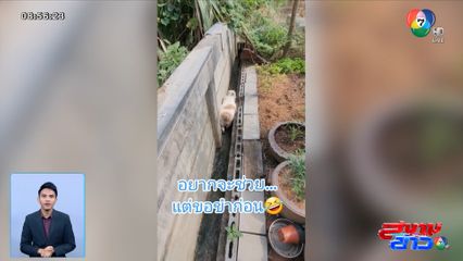 ภาพเป็นข่าว : ไม่ได้กรอภาพ แค่เดินหน้าไม่ได้ ถอยหลังก็ไม่ได้