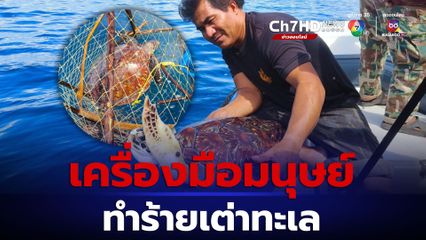 เต่าตนุ ติดลอบดักปลาทะเล เจ้าหน้าที่ อช.หมู่เกาะสุรินทร์เข้าช่วย
