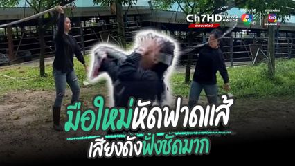 มือใหม่หัดฟาดแส้ เสียงดังฟังชัดมาก