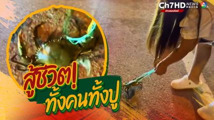 เมื่อ 2 สาวเจอปูมาเดินกลางถนน ก็ช่วยกันจับสิคะ เป็นไปอย่างทุลักทุเล สุดท้ายคนชมช็อตฟีล