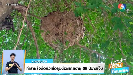 ทำลายรังต่อหัวเสือรุมต่อยยายอายุ 68 ปี บาดเจ็บ จ.เพชรบูรณ์