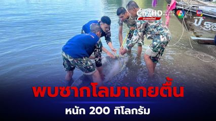 พบซากโลมาเกยตื้นตาย หน้าหาดอ่าวม่วง 