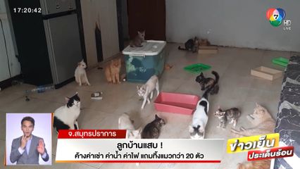 ลูกบ้านแสบ! ค้างค่าเช่า ค่าน้ำ ค่าไฟ แถมขังทิ้งแมวกว่า 30 ตัว หิวโซ เหม็นไปทั้งชั้น