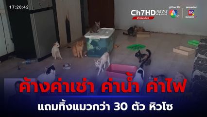 ลูกบ้านแสบ! ค้างค่าเช่า ค่าน้ำ ค่าไฟ แถมขังทิ้งแมวกว่า 30 ตัว หิวโซ เหม็นไปทั้งชั้น