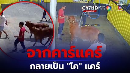 เจ้าของร้านคาร์แคร์ อ.ด่านช้าง นั่งยิ้ม หลังลูกค้าจูงวัว 3 ตัว มาอาบน้ำที่คาร์แคร์