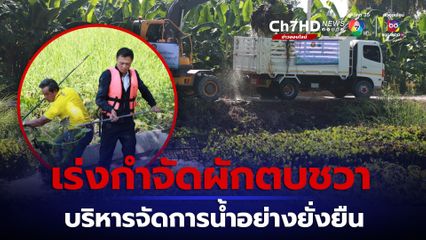 กรมโยธาธิการและผังเมือง  เดินหน้ากำจัดผักตบชวา บรรเทาความเดือดร้อน และแก้ปัญหาน้ำท่วม