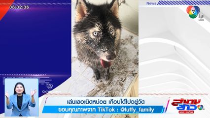 ภาพเป็นข่าว : เล่นเลอะนิดหน่อย เกือบได้ไปอยู่วัด