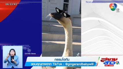 ภาพเป็นข่าว : กรรมโตทัน