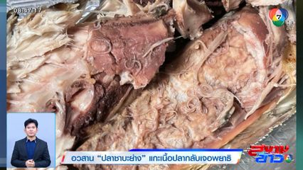 อวสาน ปลาซาบะย่าง แกะเนื้อปลากลับเจอพยาธิ