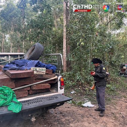 ตำรวจ ปทส. สนธิกำลังหน่วยงานที่เกี่ยวข้อง จับแก๊งมอดไม้ กระจายเป็นกองทัพมด รุกป่าสงวนฯ ตัดไม้ประดู่แปรรูปส่งนายทุน