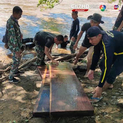 ตำรวจ ปทส. สนธิกำลังหน่วยงานที่เกี่ยวข้อง จับแก๊งมอดไม้ กระจายเป็นกองทัพมด รุกป่าสงวนฯ ตัดไม้ประดู่แปรรูปส่งนายทุน