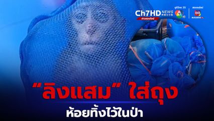 พบลูกลิงแสม 17 ตัว ถูกจับใส่ถุงห้อยไว้ในป่า