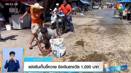 เช้านี้กับ บี กมลาสน์ : แข่งขันเก็บขี้ควายชิงเงินรางวัล 1,000 บาท