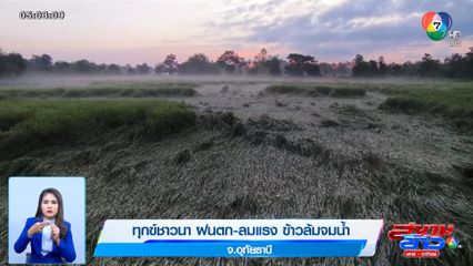 ทุกข์ชาวนา ฝนตก-ลมแรง ข้าวล้มจมน้ำ จ.อุทัยธานี