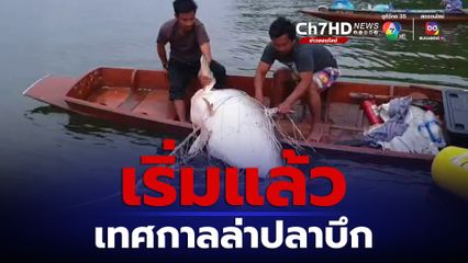 เริ่มแล้ว เทศกาลล่าปลาบึก เขื่อนแก่งกระจาน