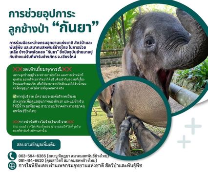 น้องกันยา ปรับตัวเข้ากับครอบครัวใหม่ ประกาศงดเยี่ยมทุกกรณี