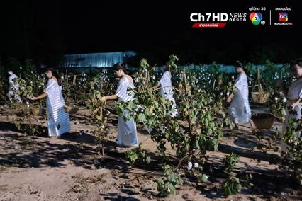 อานิสงส์ยิ่งใหญ่! จุลกฐิน ทอ ตัด เย็บ ย้อมสีจีวร ถวายวัด