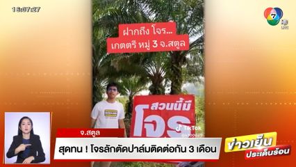 สุดทน! โจรลักตัดปาล์มติดต่อกัน 3 เดือน จ.สตูล