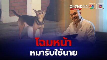 โฉมหน้า "ไอ้แป้ง" หมา 3 ขารับใช้ "แป้ง นาโหนด"