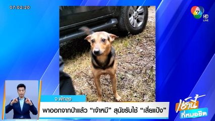 พาออกจากป่าแล้ว เจ้าหมี สุนัขรับใช้ เสี่ยแป้ง