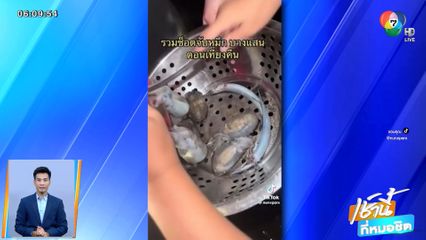 แห่จับหมึกหาดบางแสน จ.ชลบุรี